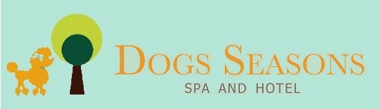 DOGS SEASONS Online Shop